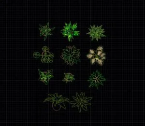 plants plan cad block