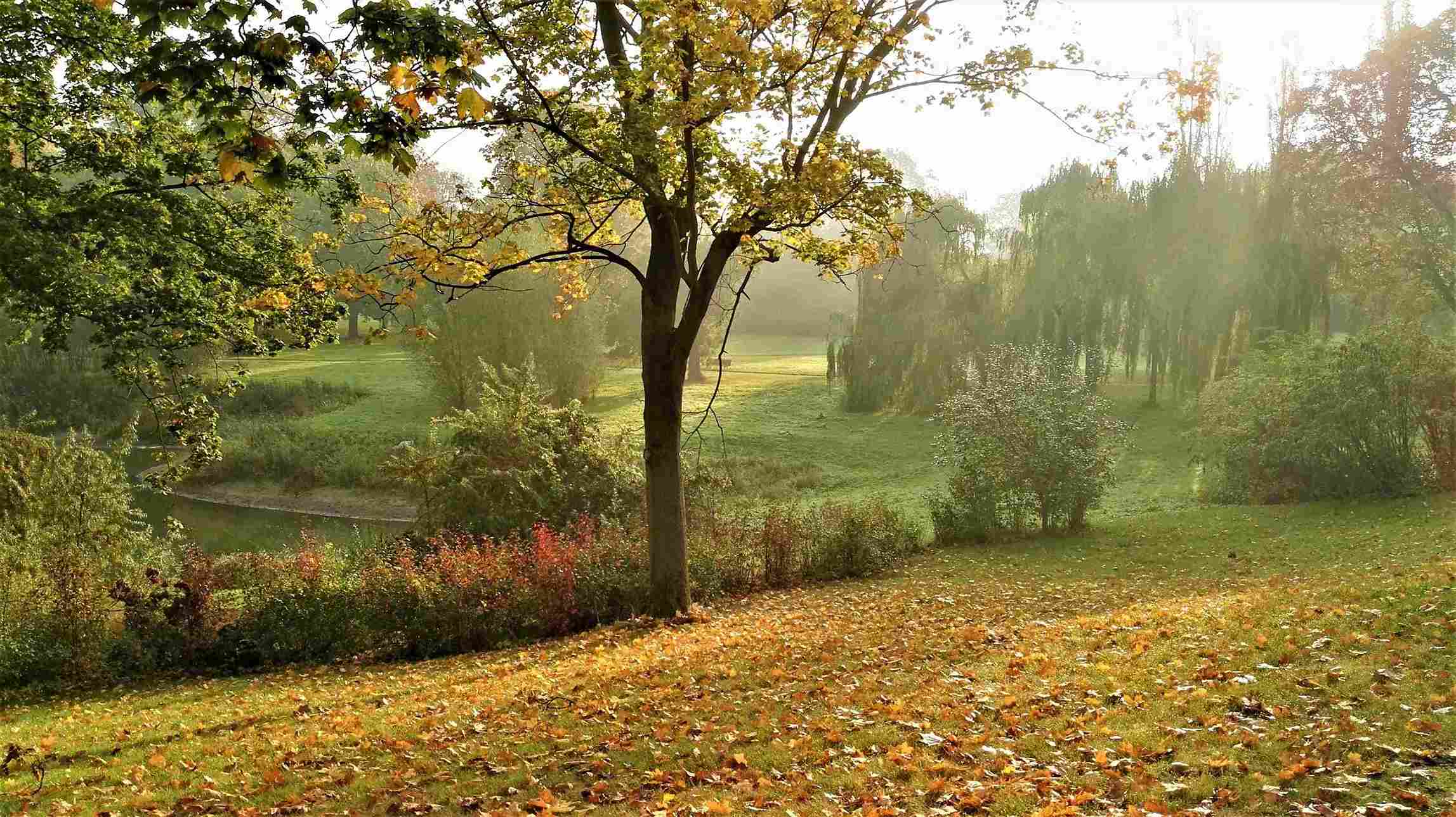 types of ventilation