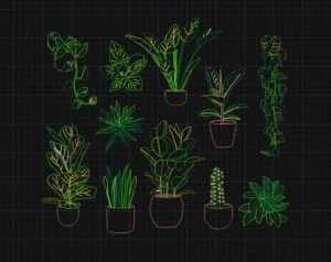 download free dwg of climbing plants