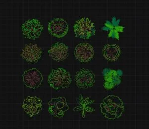 download free dwg of tree plans
