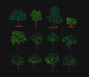 download free dwg of tree elevation cad blocks